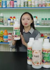 NONGBI STUDIO Poong Jak Ji