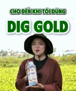 NONGBI TRÀ